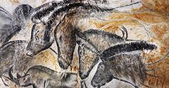 Galerie photo Grotte Chauvet 2
